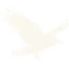 Free Shipping Icon
